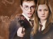 Harry a Ginny 2